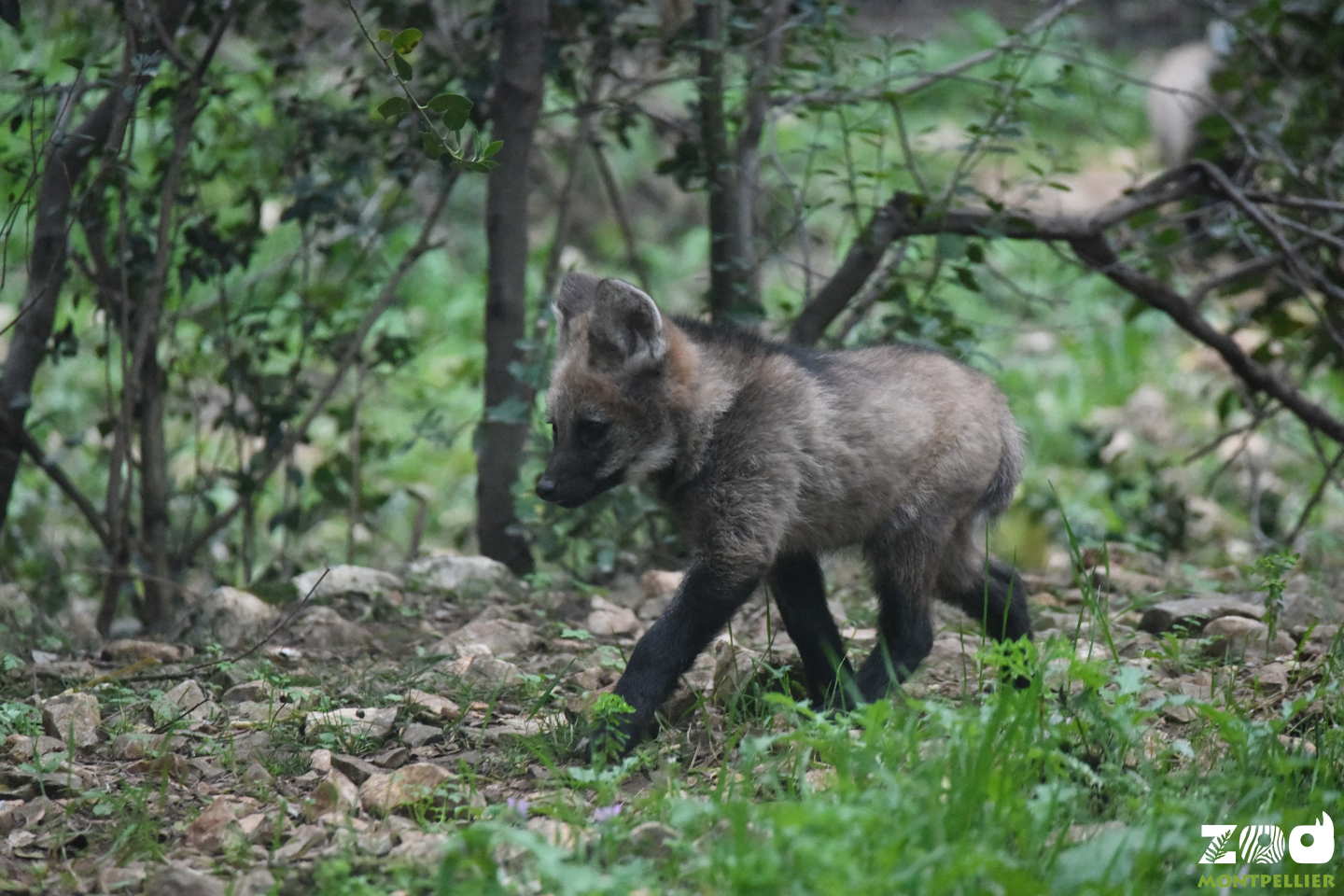DSC_1304b-min.jpg