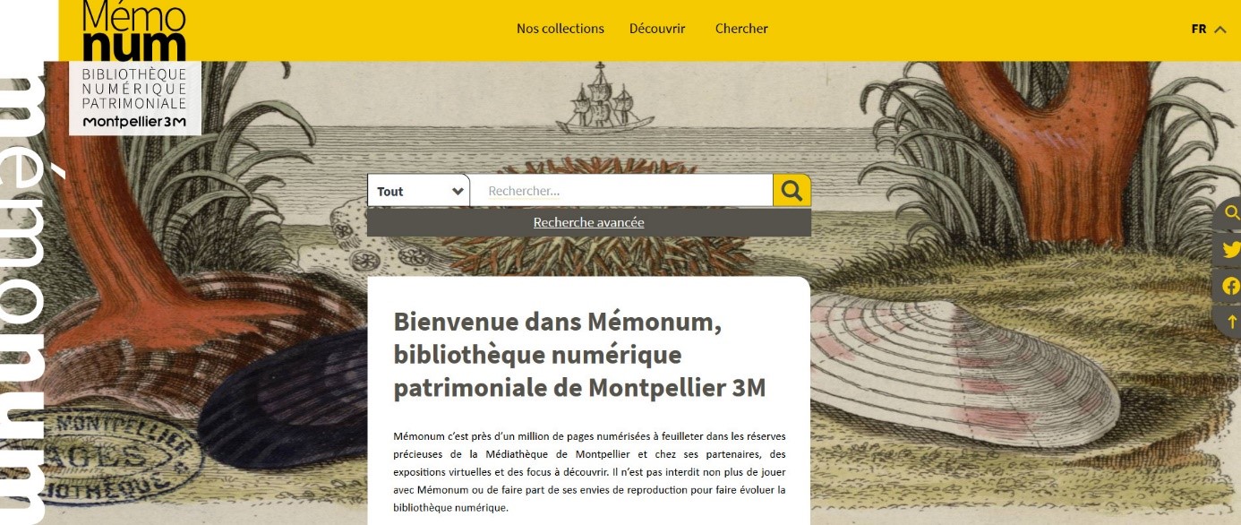 Capture d'écran site médiathèques.jpg