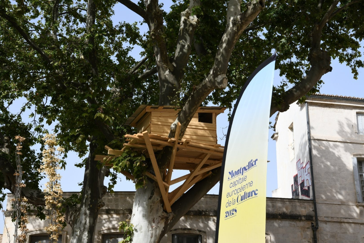 CMA-Canourgue 1.png