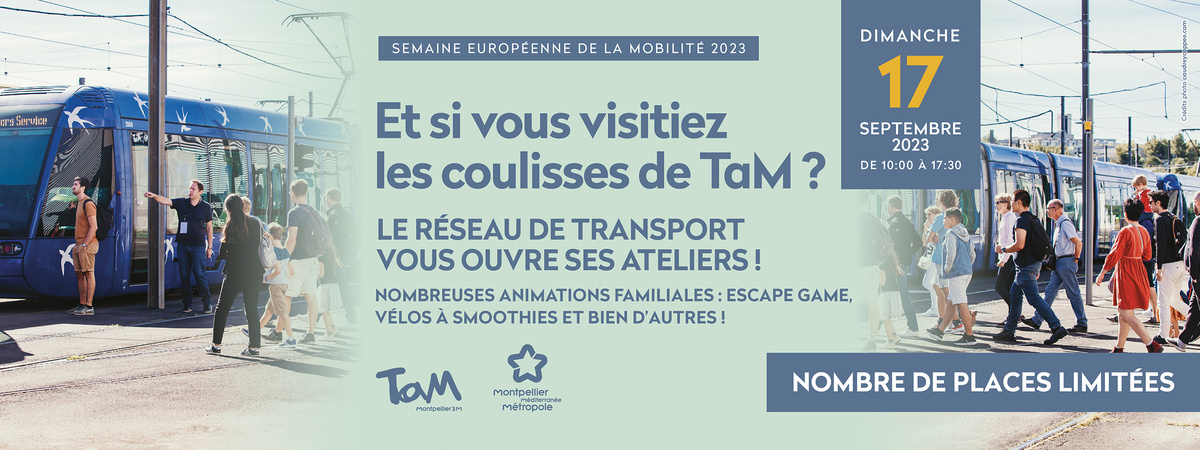 Journée TaM.jpg