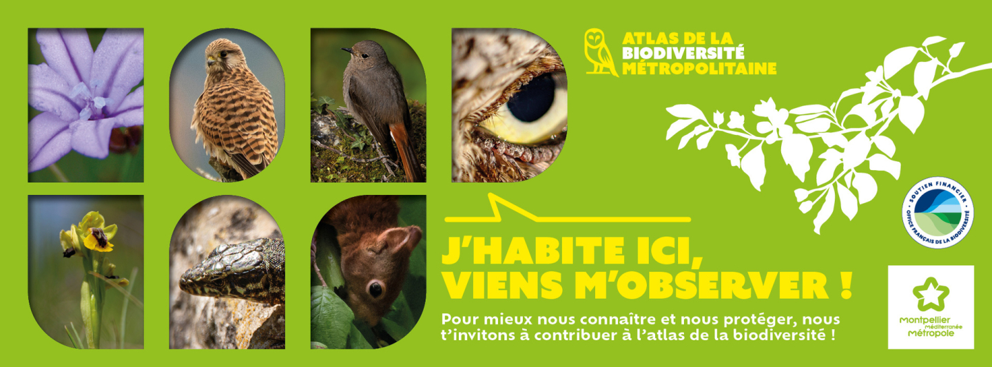 banner_2000x740_atlas_de_la_biodiversite_03_2024_mn_mn.jpg