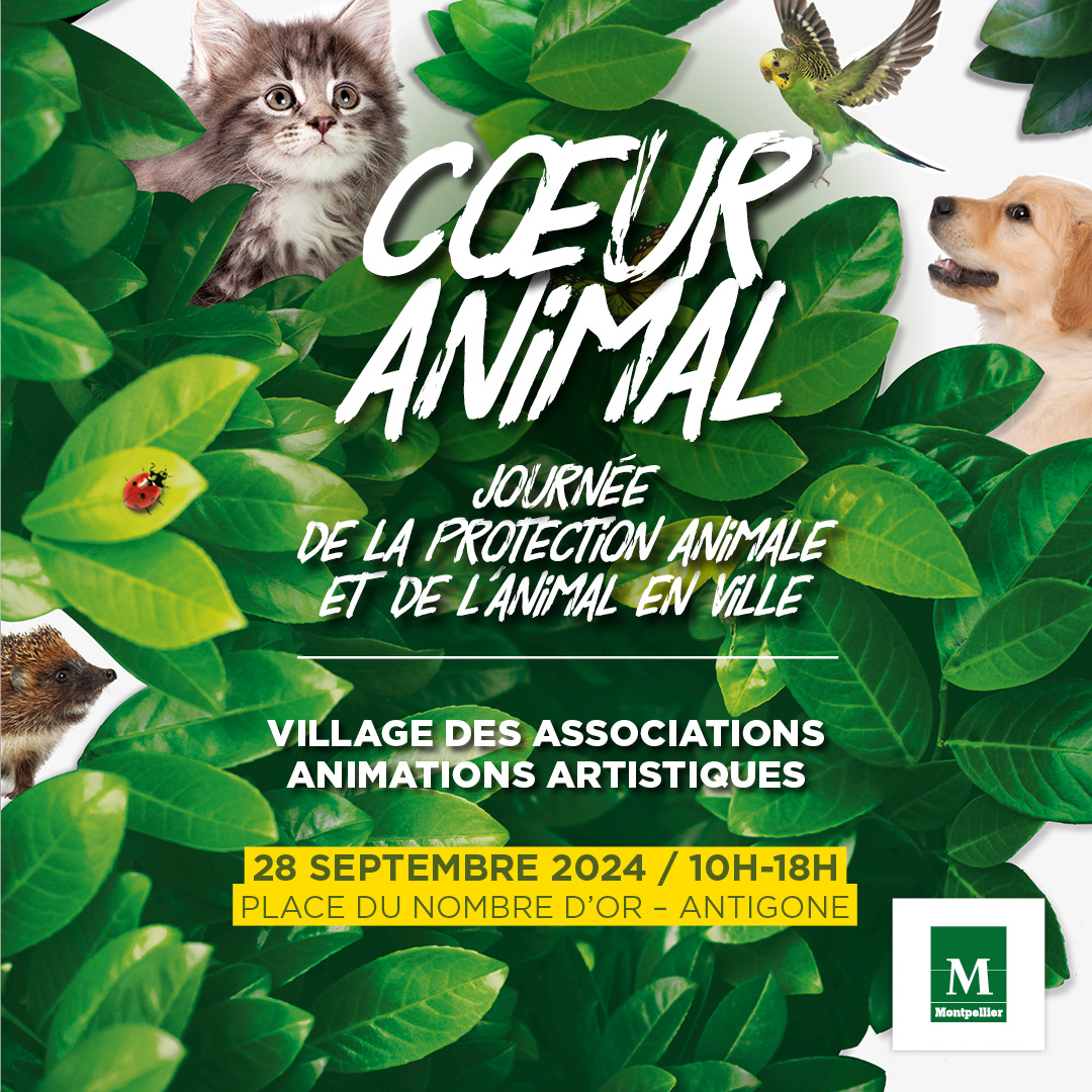 BANNER-1080x1080-COEUR-ANIMAL-09_2024_DP.jpg