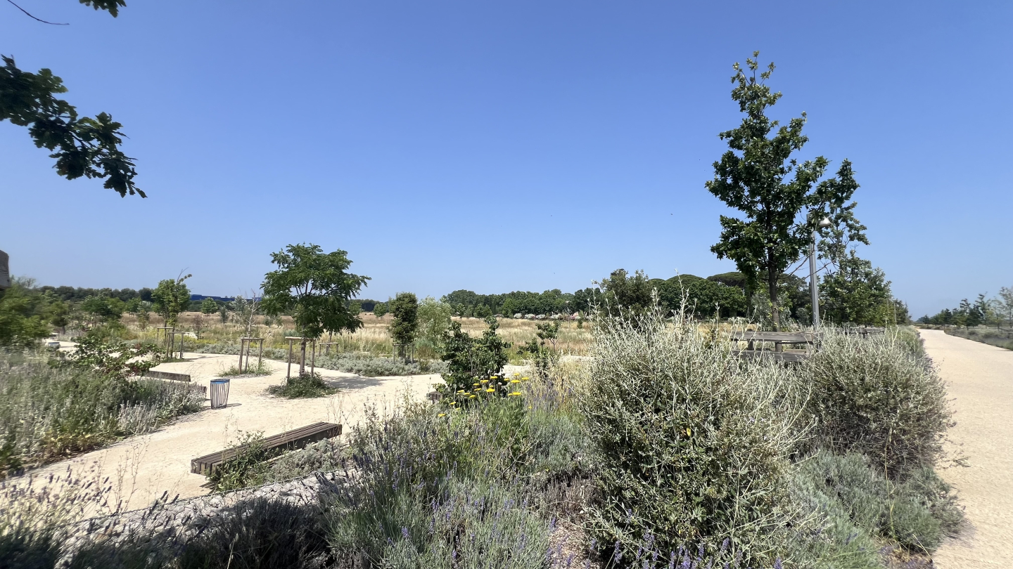 Vue parc1.jpeg