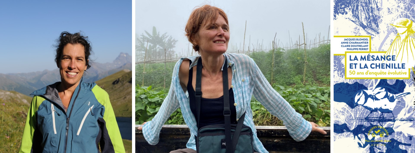 Anne charmantier et Claire Doutrelant.jpg