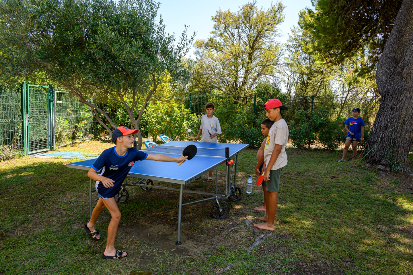 Pingpong.jpg