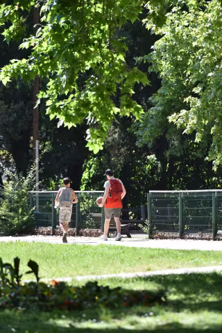 point d'étape sur la réouverture des parcs et jardins de la Ville de Montpellier