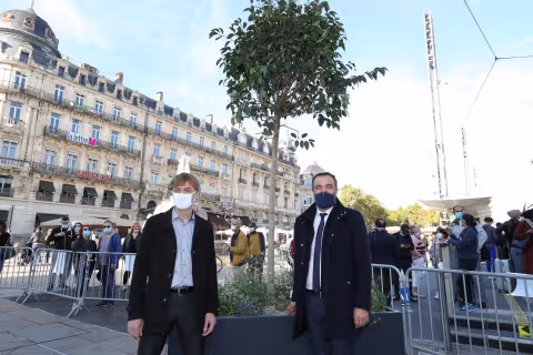 Installation d’arbres en bac : Première étape de la végétalisation de la Place de la Comédie