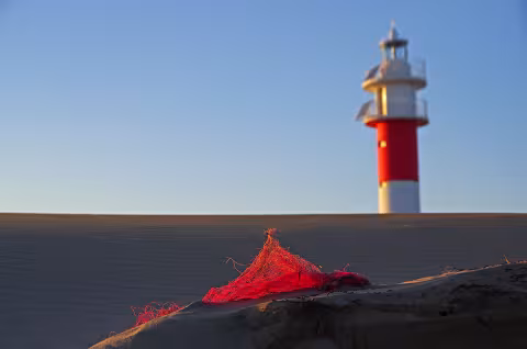"Dégouts, des couleurs