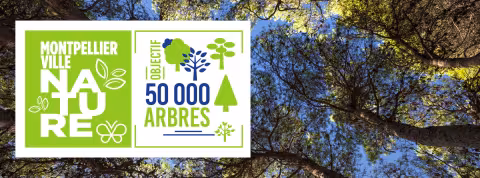 L'opération "50 000 arbres" pour ville plus verte engagée par la Ville de Montpellier