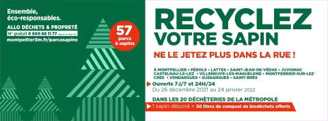 N’abandonnez plus vos sapins dans la rue, recyclez-les !