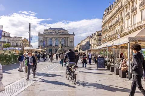 Développement économique : Montpellier Méditerranée Métropole, un territoire attractif qui enregistre des performandes record
