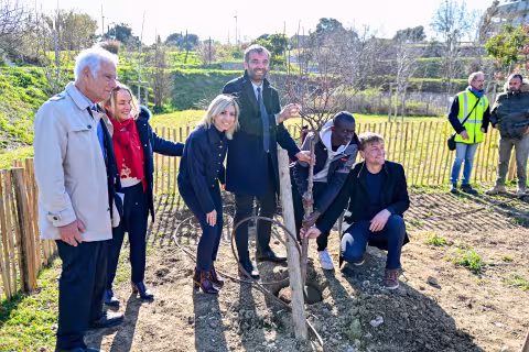 OBJECTIF 50 000 ARBRES / Des abricotiers et des grenadiers en l'honneur de l'Arménie
