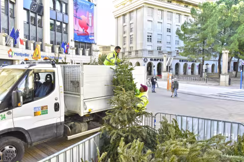 CP [OPERATION PARCS A SAPINS] N’abandonnez plus votre sapin dans la rue, recyclez-le !
