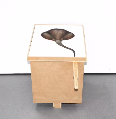 EXPOSITION PEIGNONS NOUS DANS LE BOIS DU 11 JANVIER AU 2 FÉVRIER 2025  A L'ESPACE SAINT - RAVY