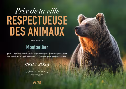 L'engagement de Montpellier pour le bien-être animal récompensé par PETA