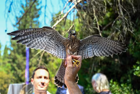 Présentation du futur Centre de soins de la faune sauvage et de l'espace Darwin au sein du Grand Parc de Lunaret à Montpellier