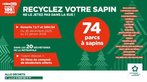 [OPÉRATION PARCS À SAPINS] Ne jetez pas votre sapin, recyclez-le !