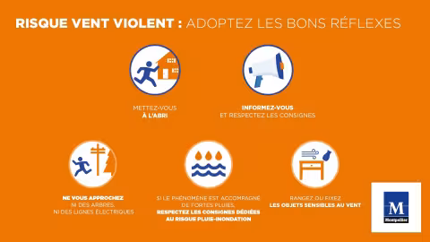 VENT VIOLENT : FERMETURE DES PARCS, DES JARDINS, DU ZOO DE LUNARET ET DES CIMETIERES