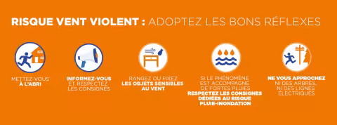 Risque naturel "Vents violents"  : La Ville de Montpellier informe